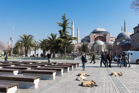 
        Designing for Stray Cities: Architecture Beyond the Human
      