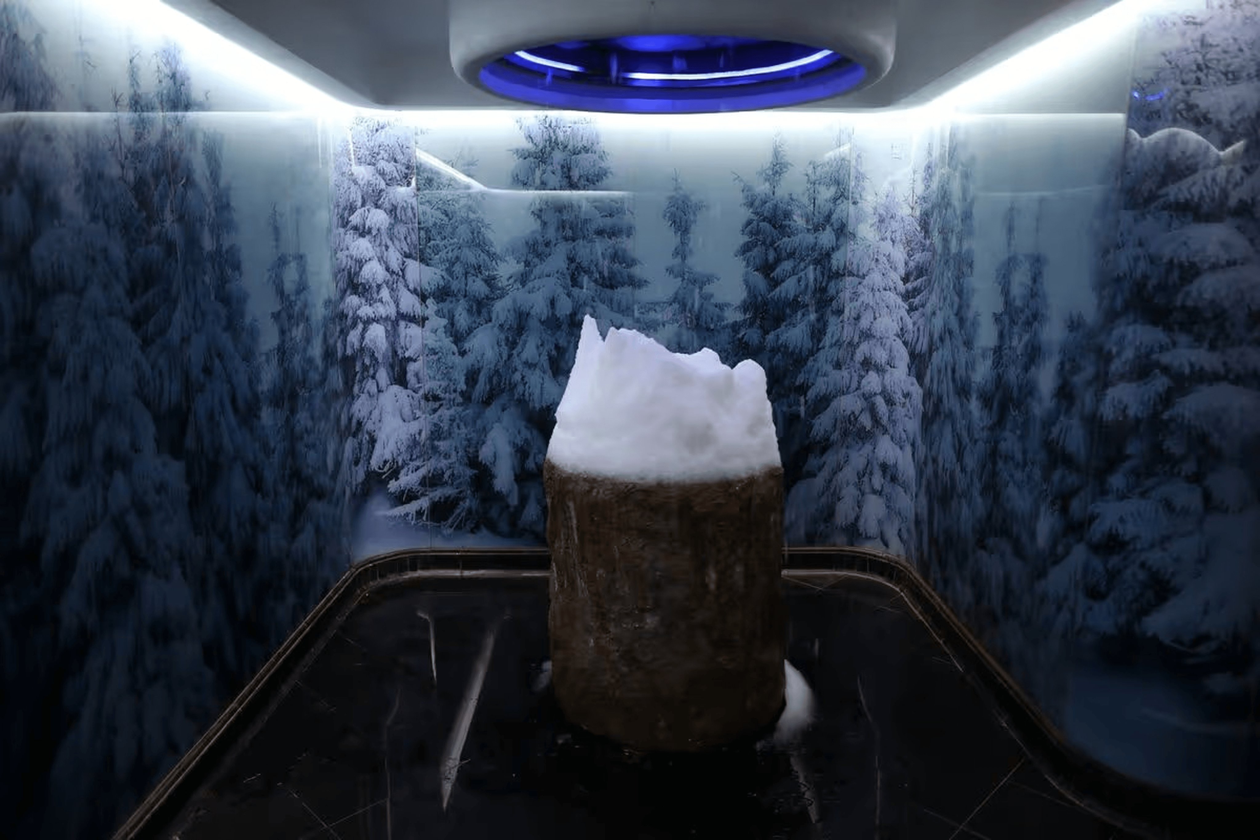 Snow Rooms Are Where the Wealthy Hide Out During Heatwaves
