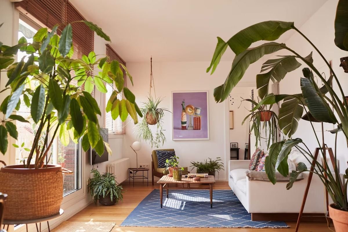 13 Best Barcelona Airbnbs for Modern Design & Architecture (2026)