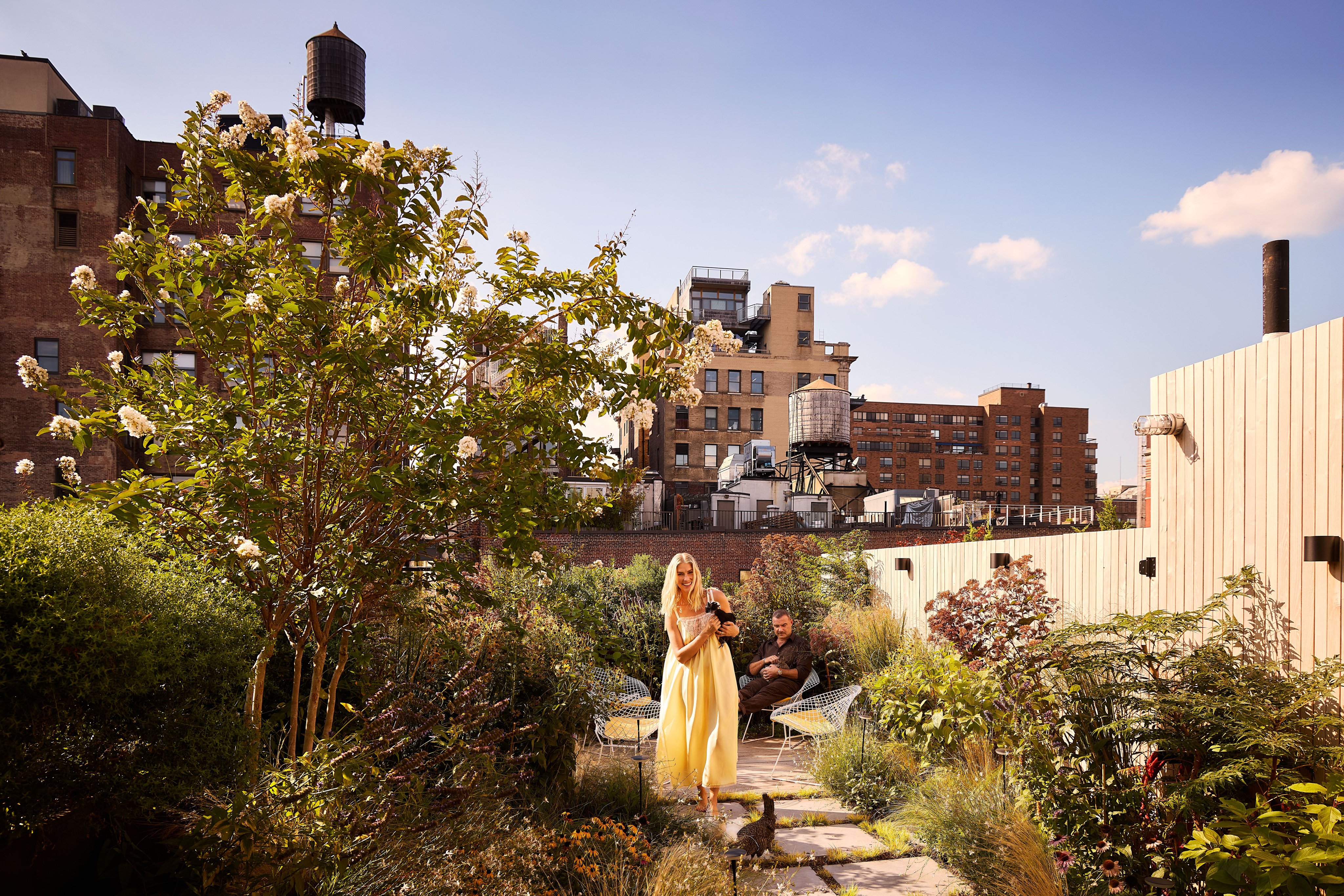 Liev Schreiber Feathers His Nest in New York City—Rooftop Chicken Coop and All