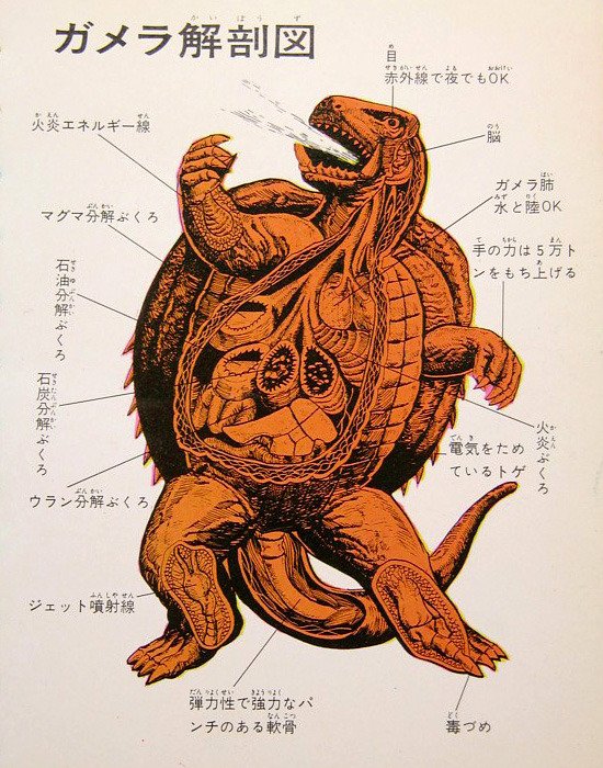 swampthingy: Illustrated anatomy of Gam...