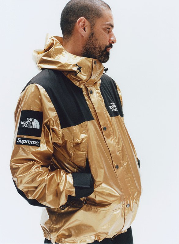 supreme-the-north-face-metallic-spring-2018-02-585x800.jpg