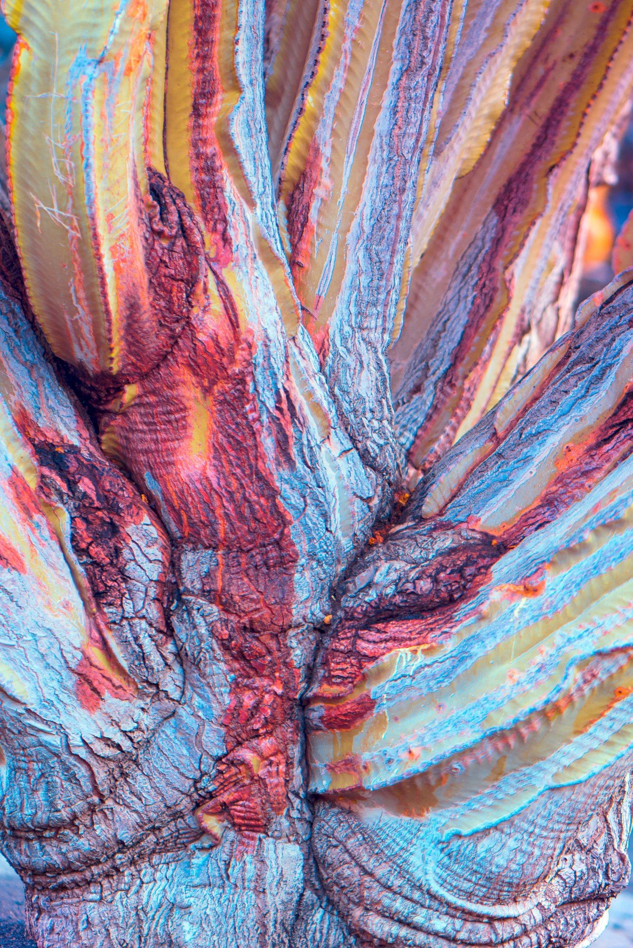 field_suprachromacy_06.jpg