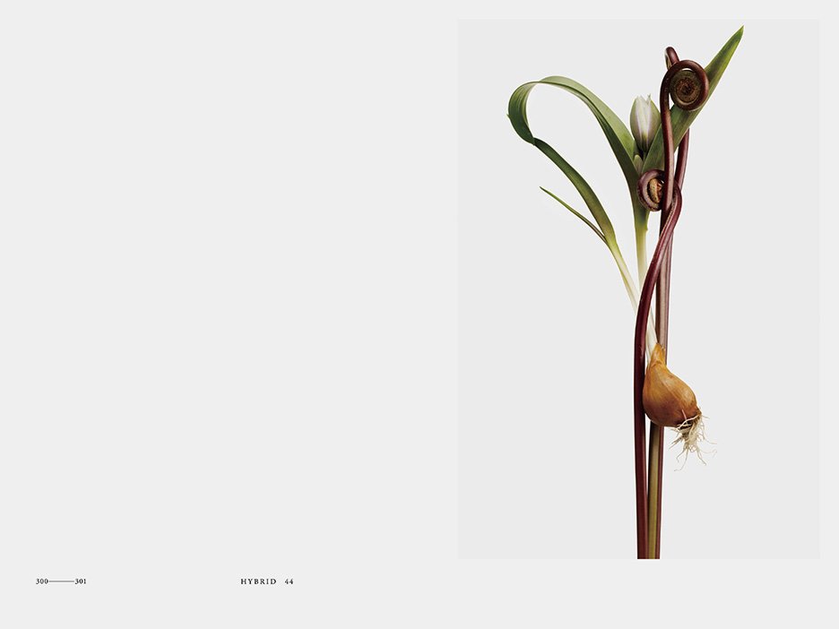 ENCYCLOPEDIA OF FLOWERS Kenya Hara