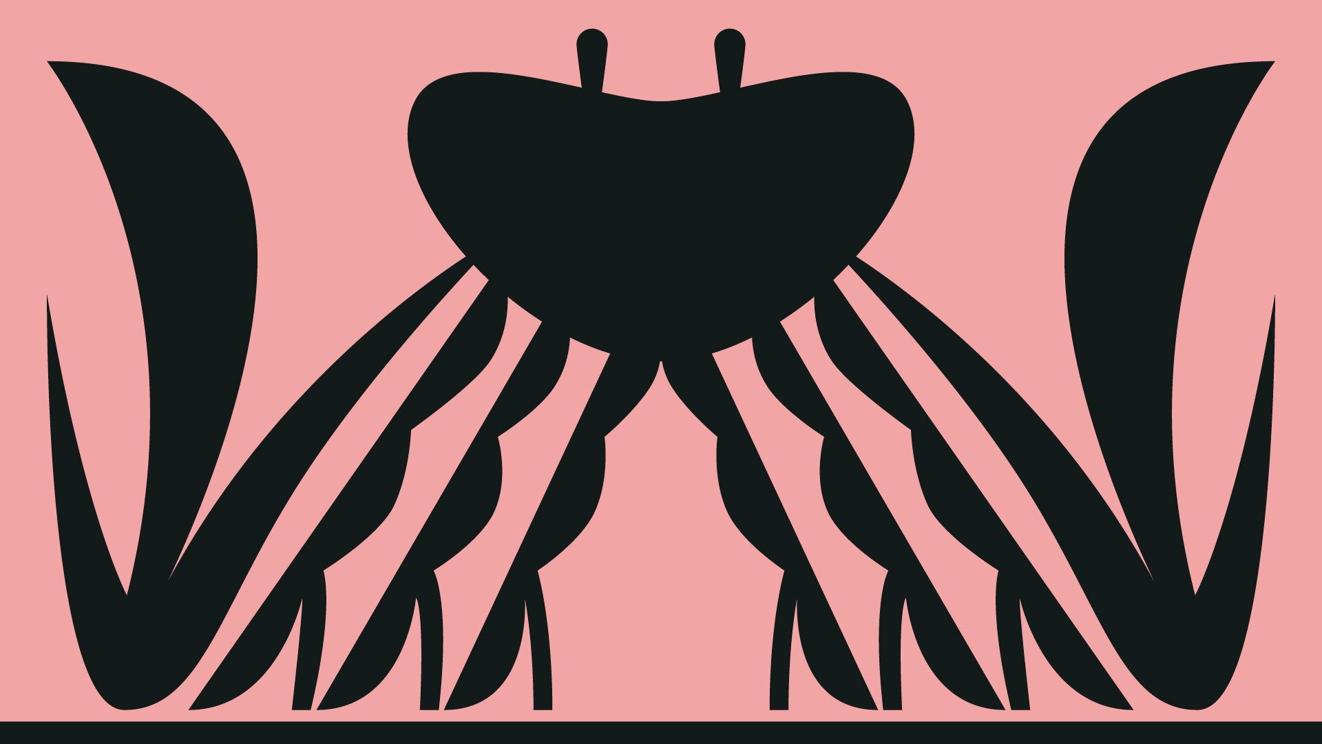 96e93973758309.5c13c37605c80.gif