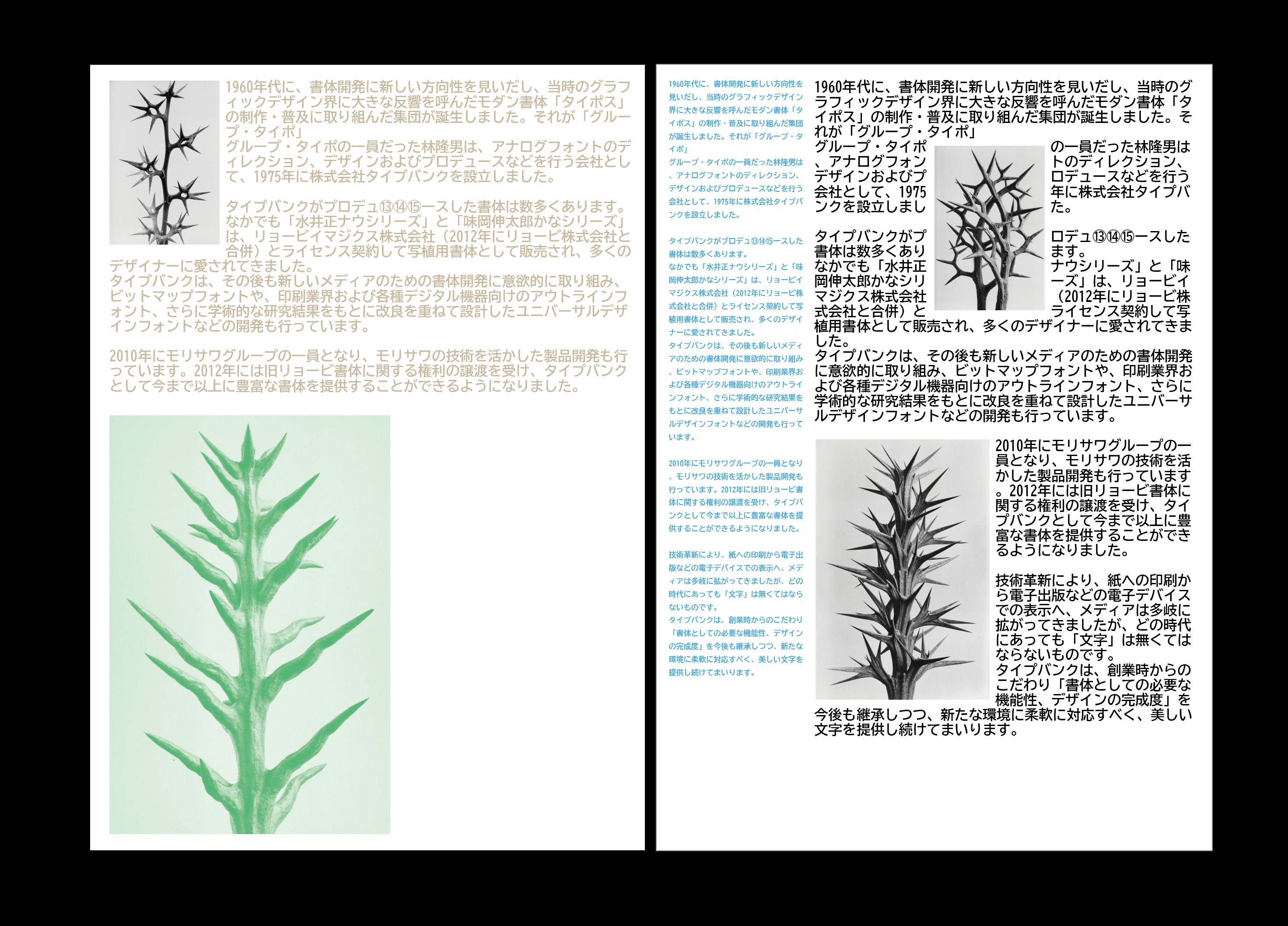 mramal-search-ly-10399.png