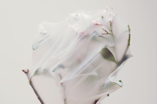 The_Heavy_Collective_SS17_P_Lost_in_fiber09_hr.jpg