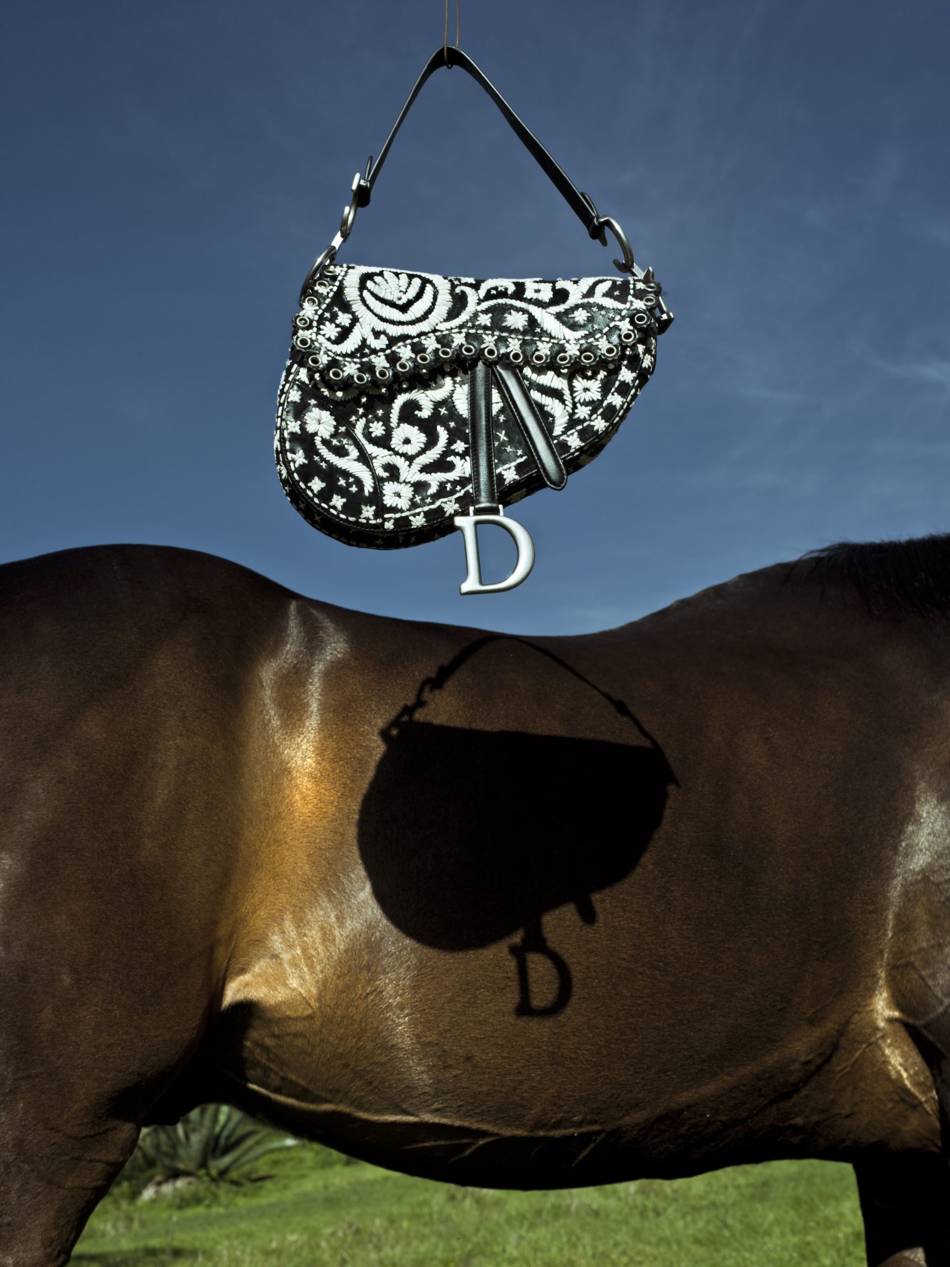 Dior x Cristina de Middel