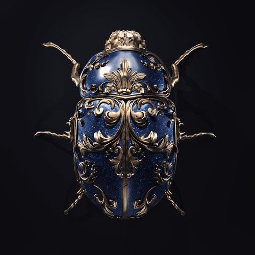 bug-1.jpg