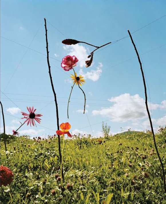 Collier Schorr, Blumen