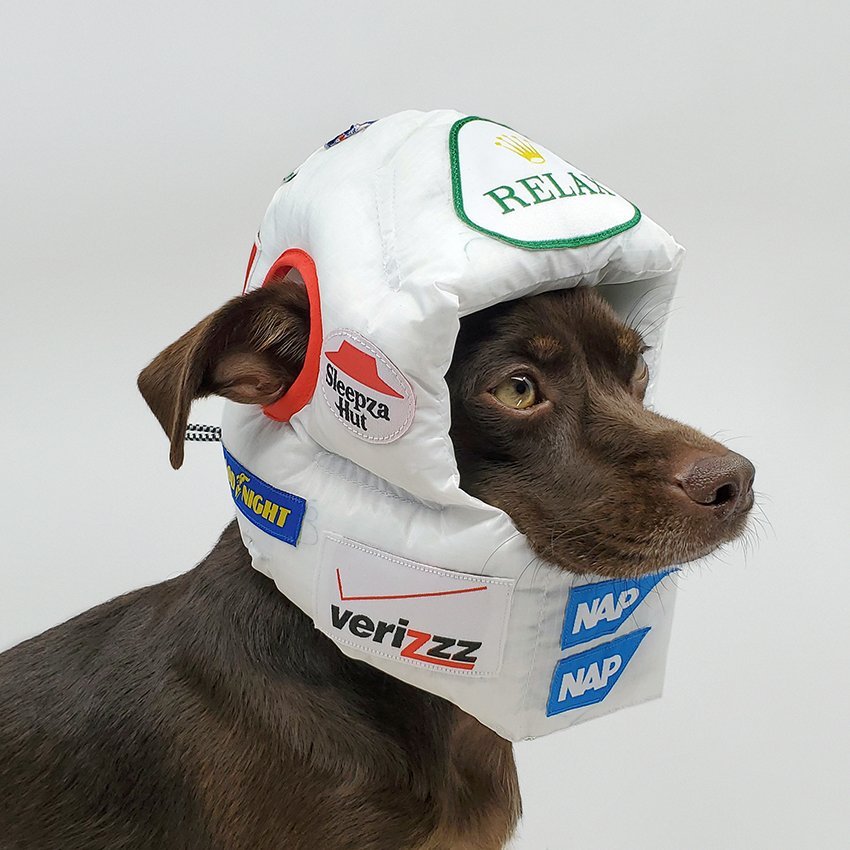 creative-director-rajeev-basu-releases-luxury-helmets-for-dogs-1-5f6e534e9d726.jpg