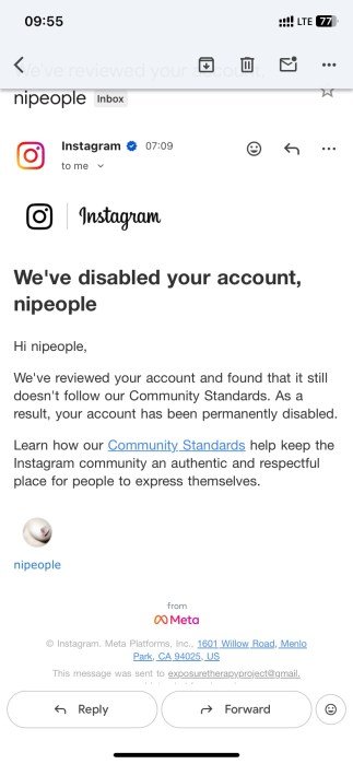 Citing Censorship, Artist Emma Shapiro Launches Legal Challenge to Restore Instagram Account