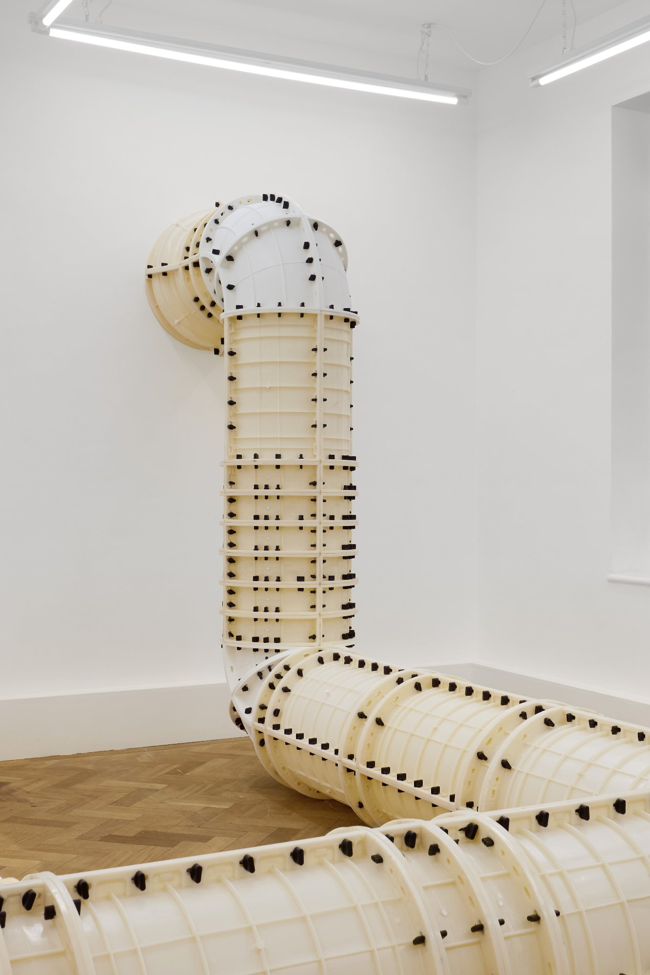 Jan Vorisek’s Flaccid Columns