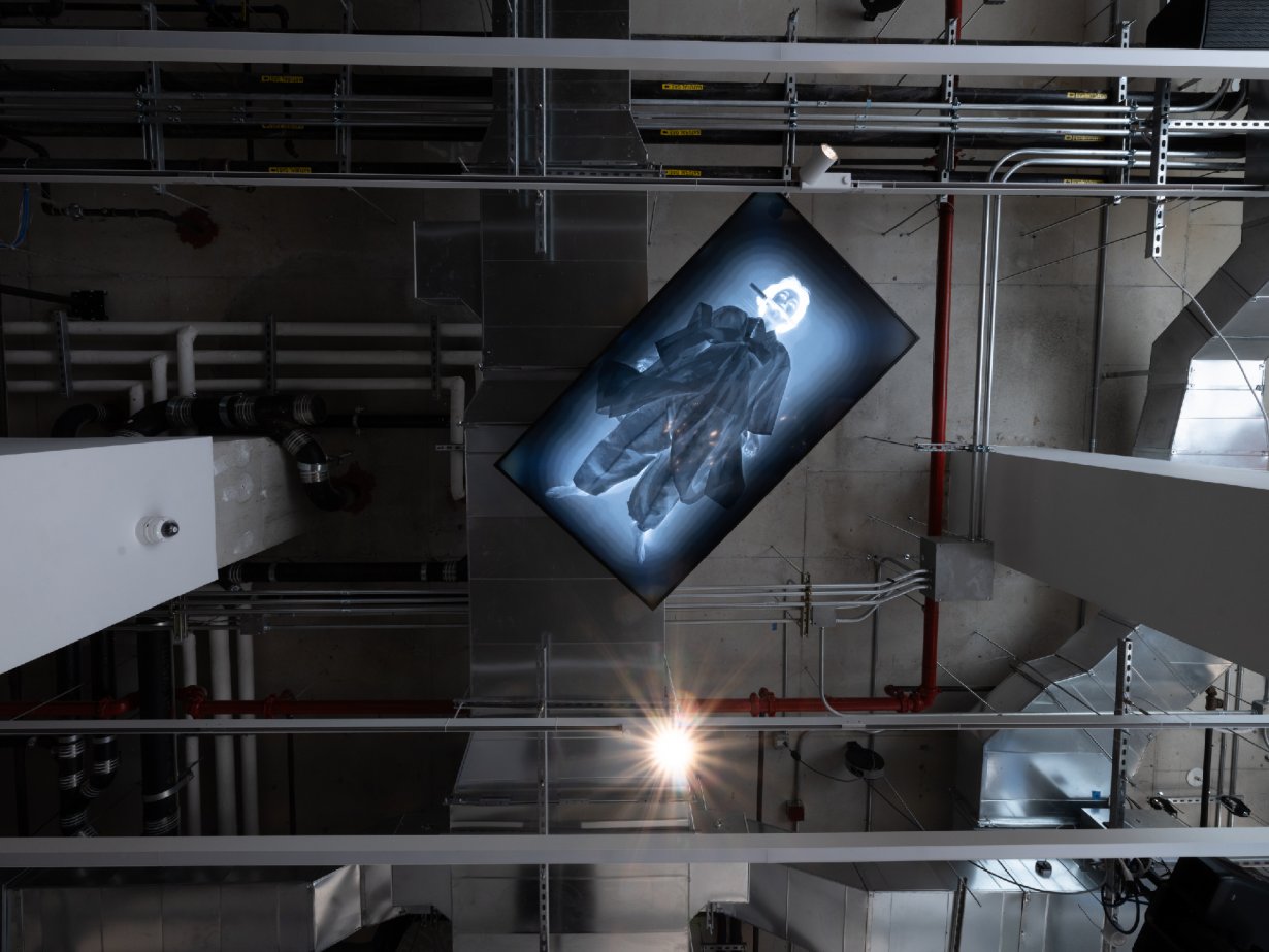 Im Youngzoo: Requiem for Technological Progress