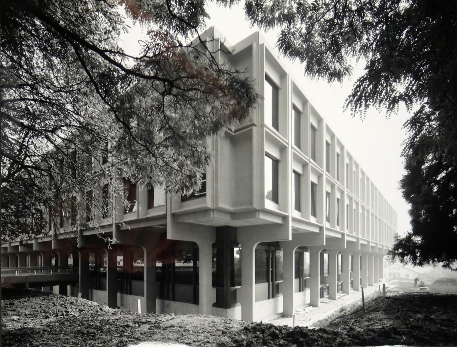 A Brutalist School Building in Geneva Grows Taller and Stronger