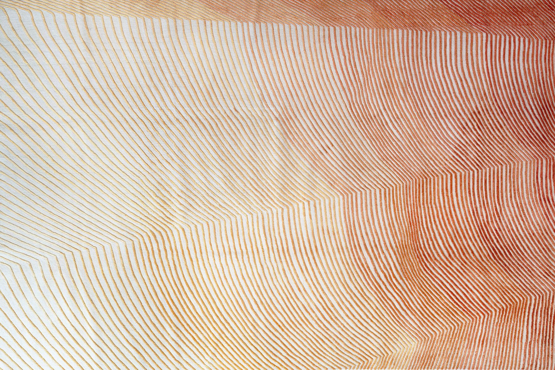 With Zoometry, Creative Matters & RDAI Weave the Hidden Geometry of the Natural World