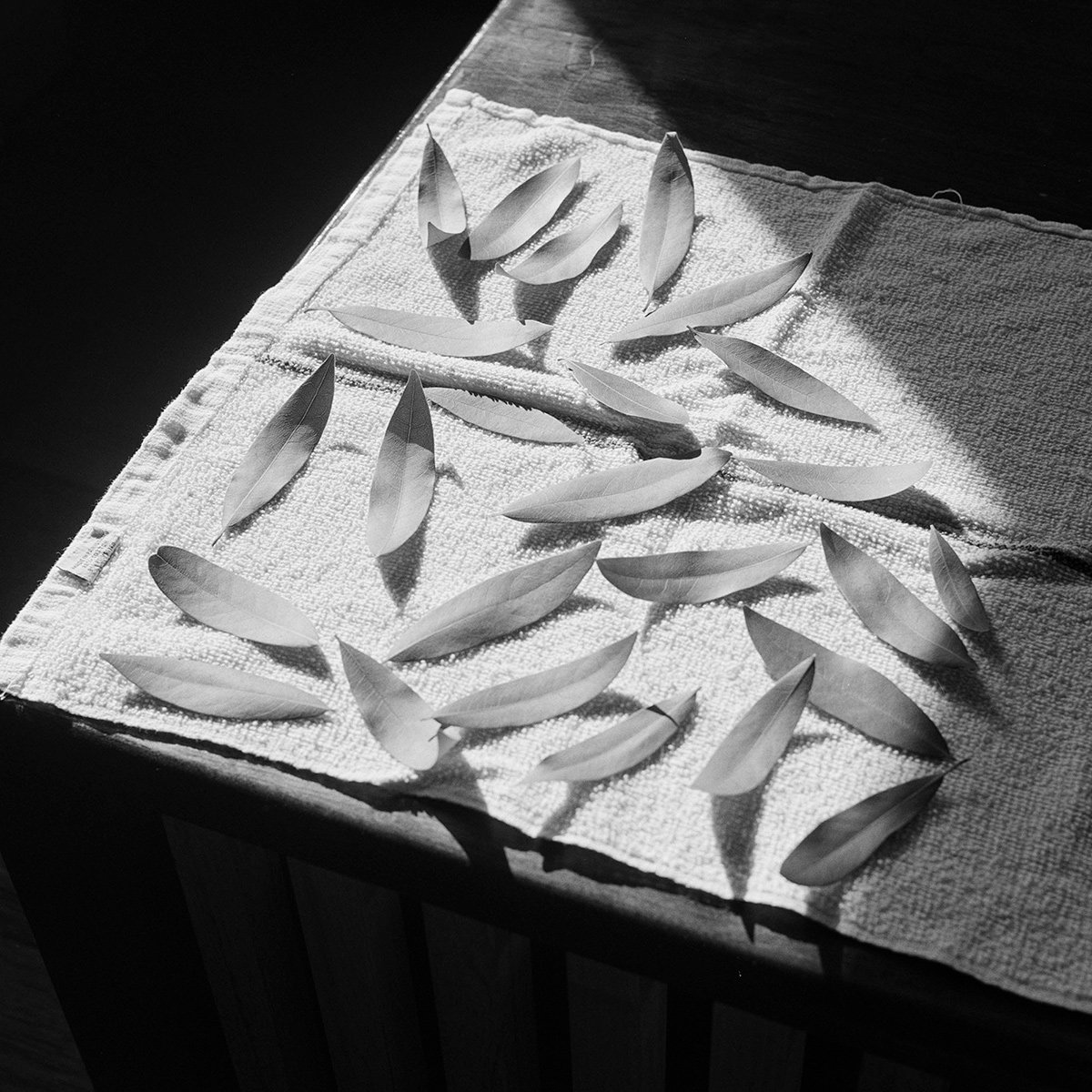 “Eternal Return” by Photographer Benjamin Young
