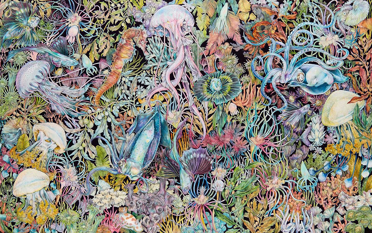 Illustrator Spotlight: Fumi Nakamura