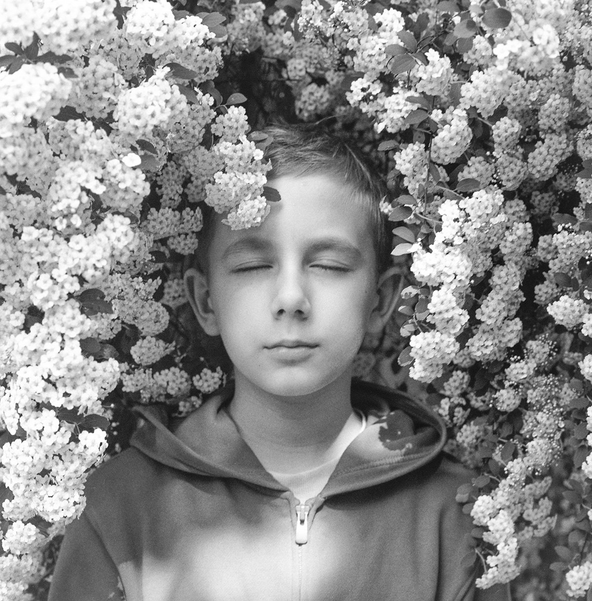 “In the shadow of an old apple tree” by Photographer Elena Serafimova