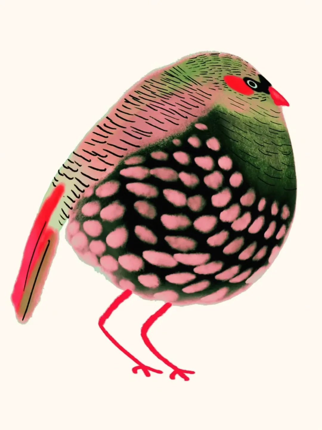 Borb Therapy 🐦