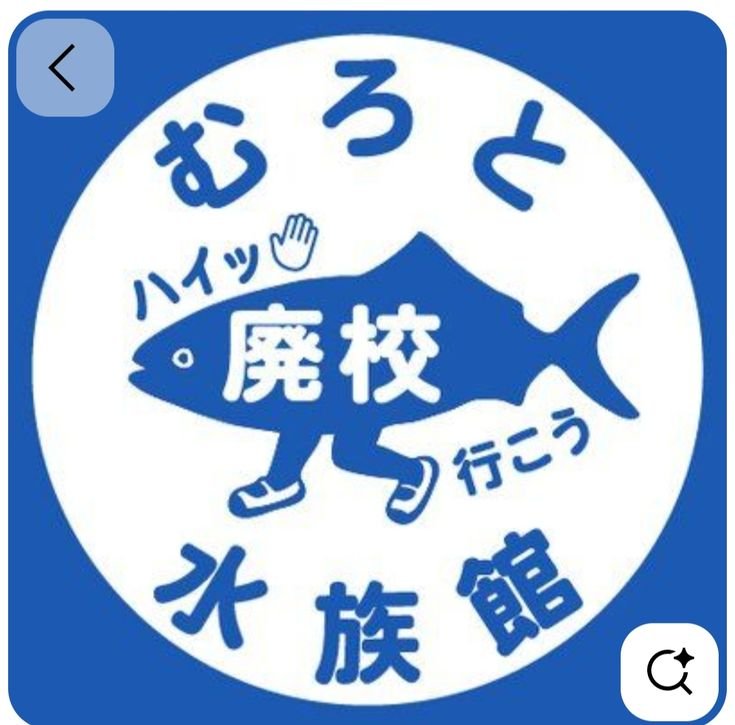廃校を水族館にしたということが一目でわかるし、とても気になる…