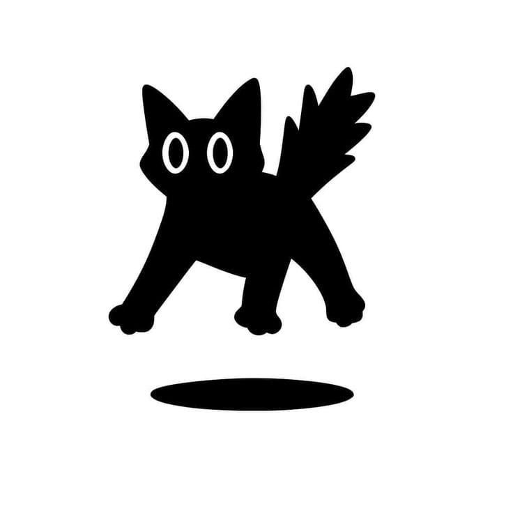 Gatinho arrepiado
