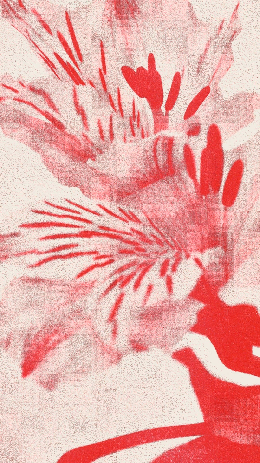Home / Cosmos