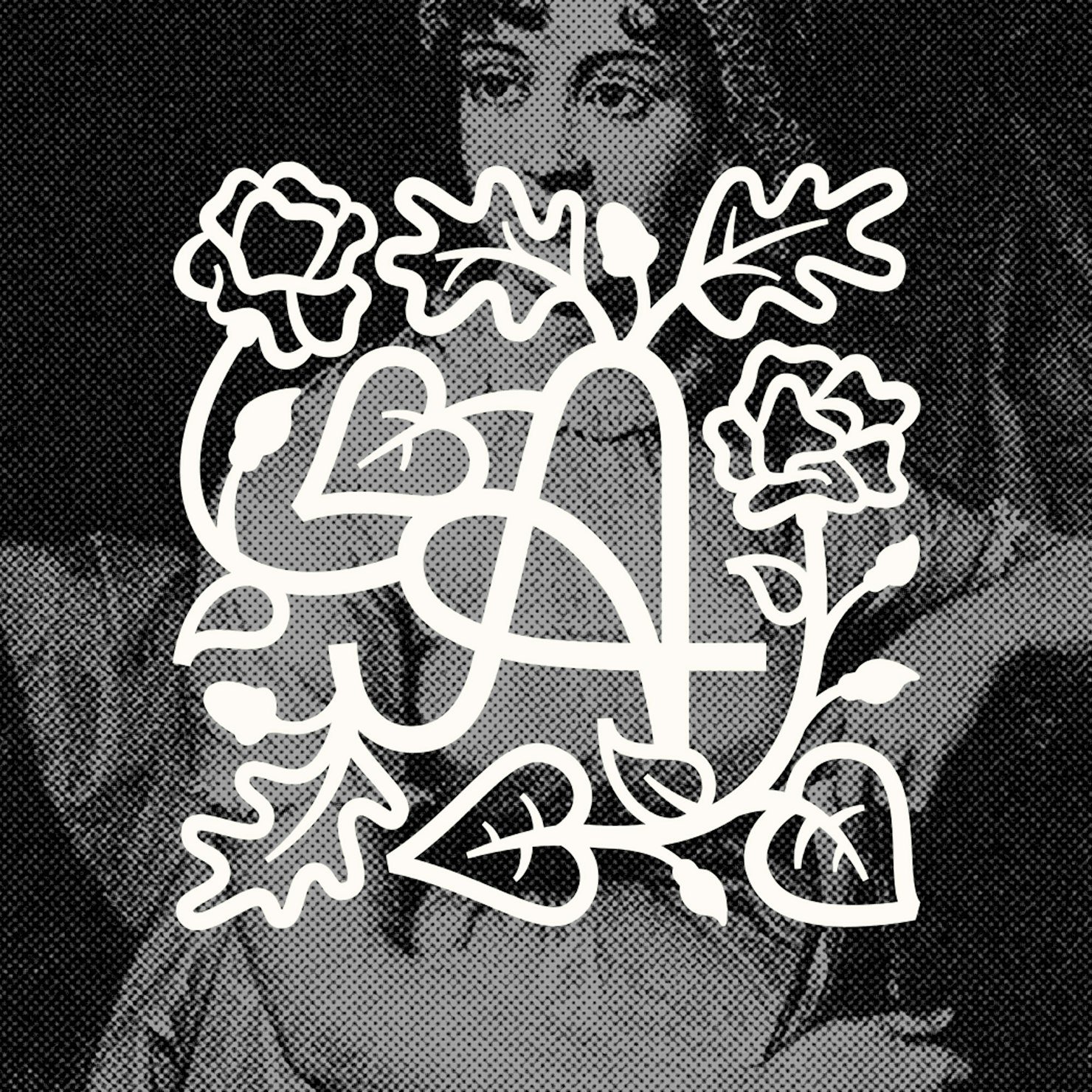 Jane Austen’s House: 250th Anniversary