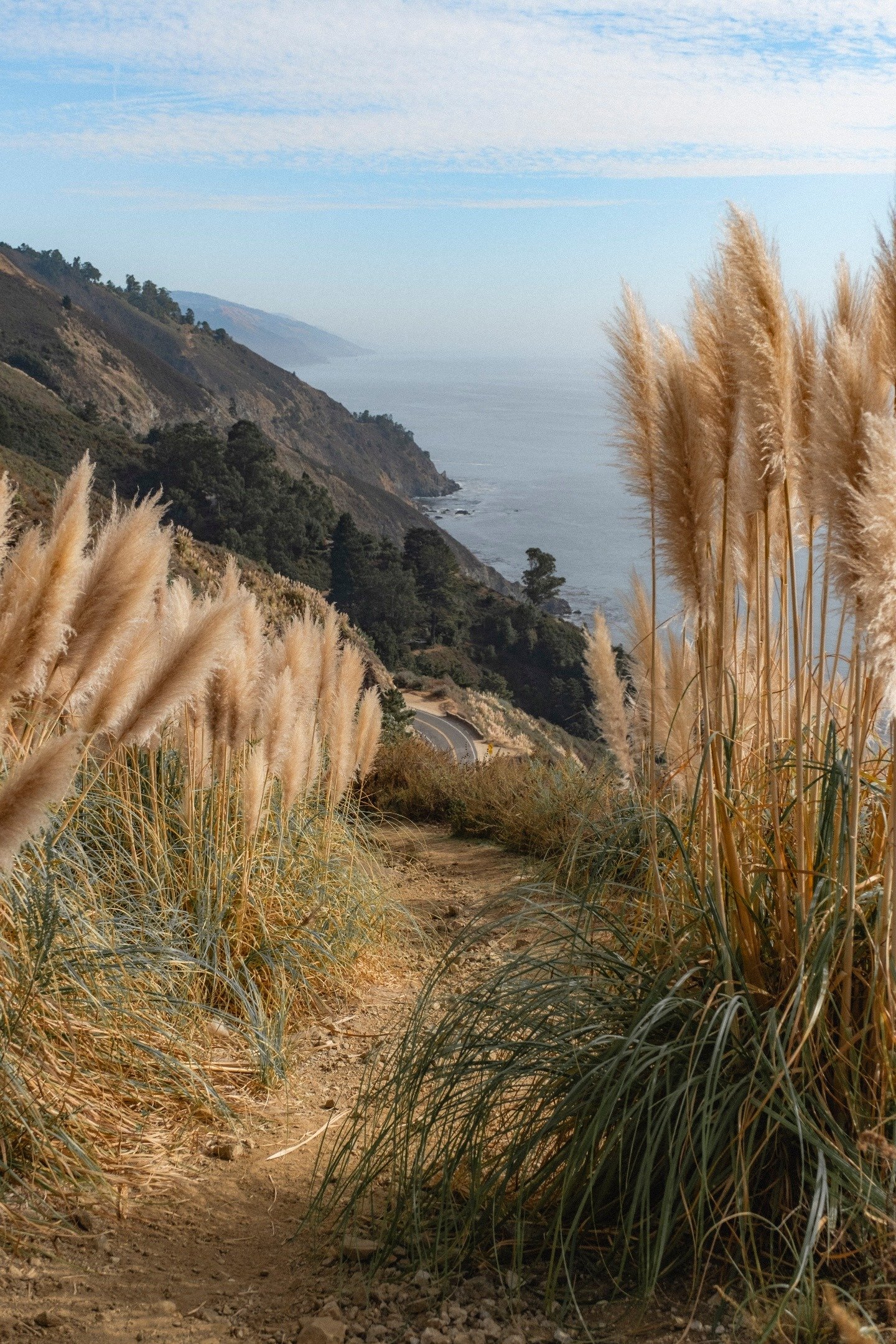 The pampas of Big Sur should be a bigger deal