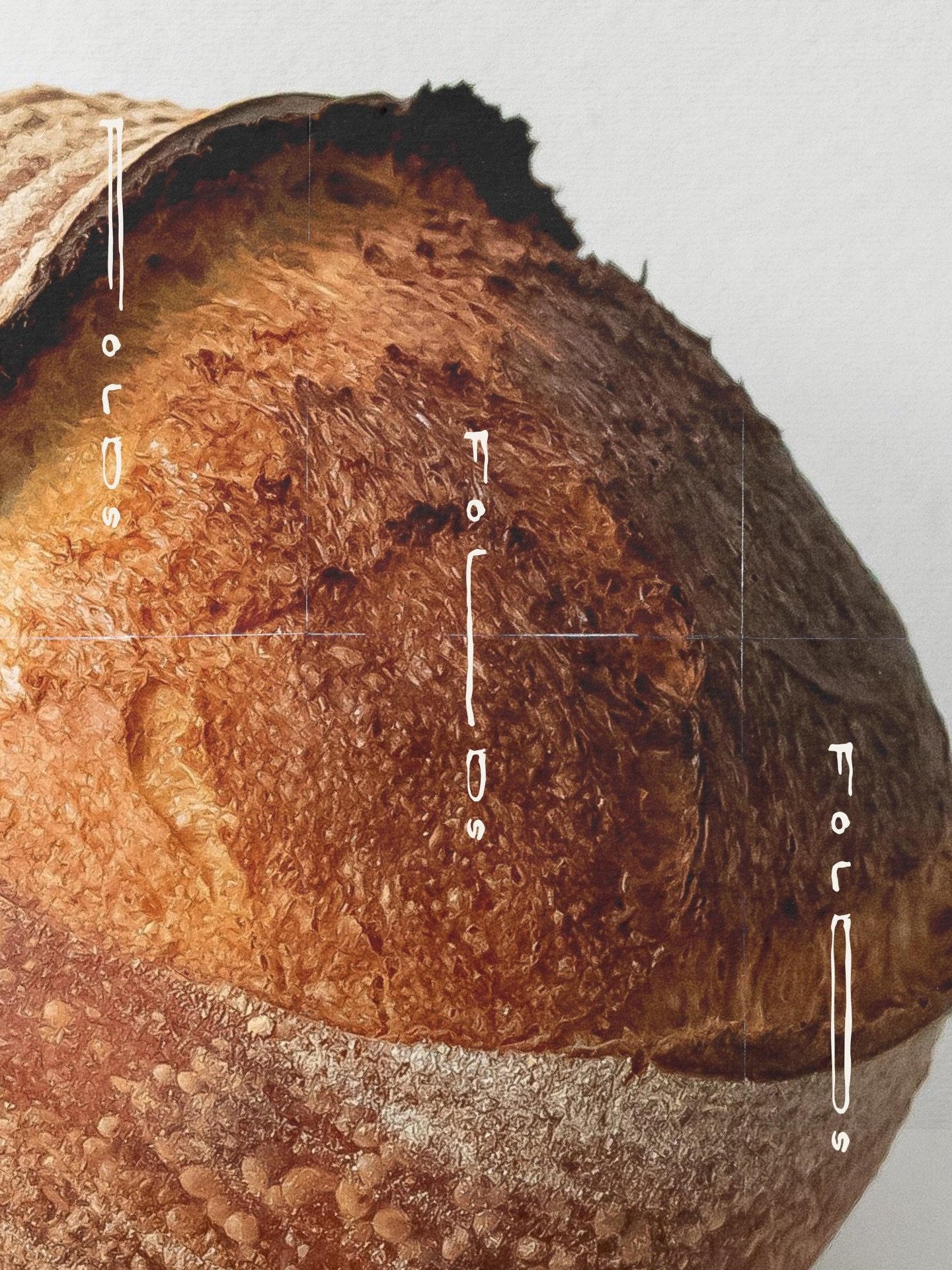 Visual identity design for FOLDS Baking Studio by studiotfs FOLDS Baking Studio approaches baking as a form of art. Not in how it is presented, but in how it is made. The visual identity is inspired by that same idea, honest shapes, raw textures, and considered, evolving forms that reflect the discipline and care behind the kitchen. This approach reflects the belief that baking is a craft, simple, deliberate, and shaped one fold at a time.