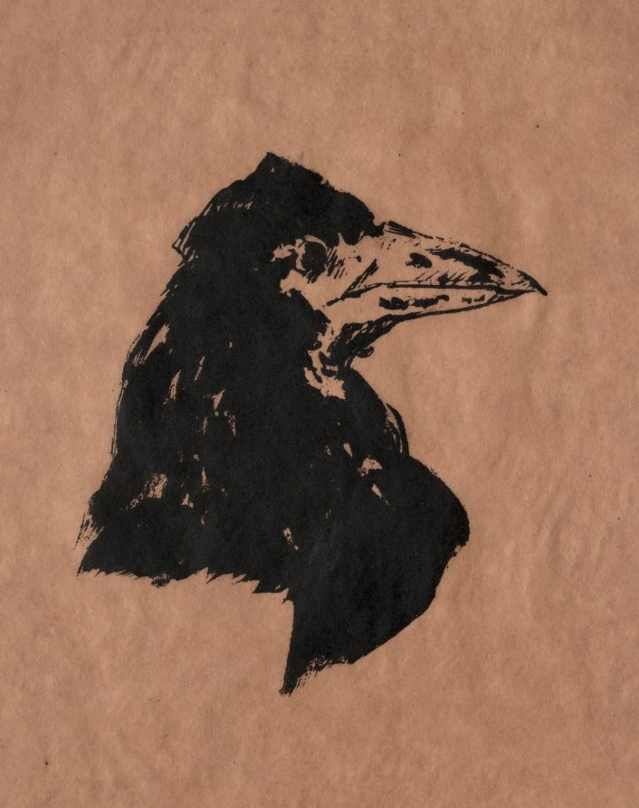 Raven's Head in Profile (1875)