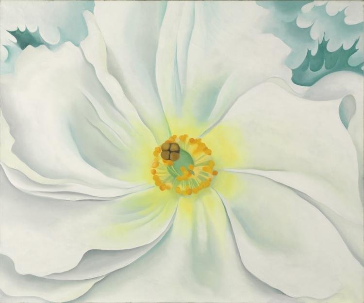White Flower