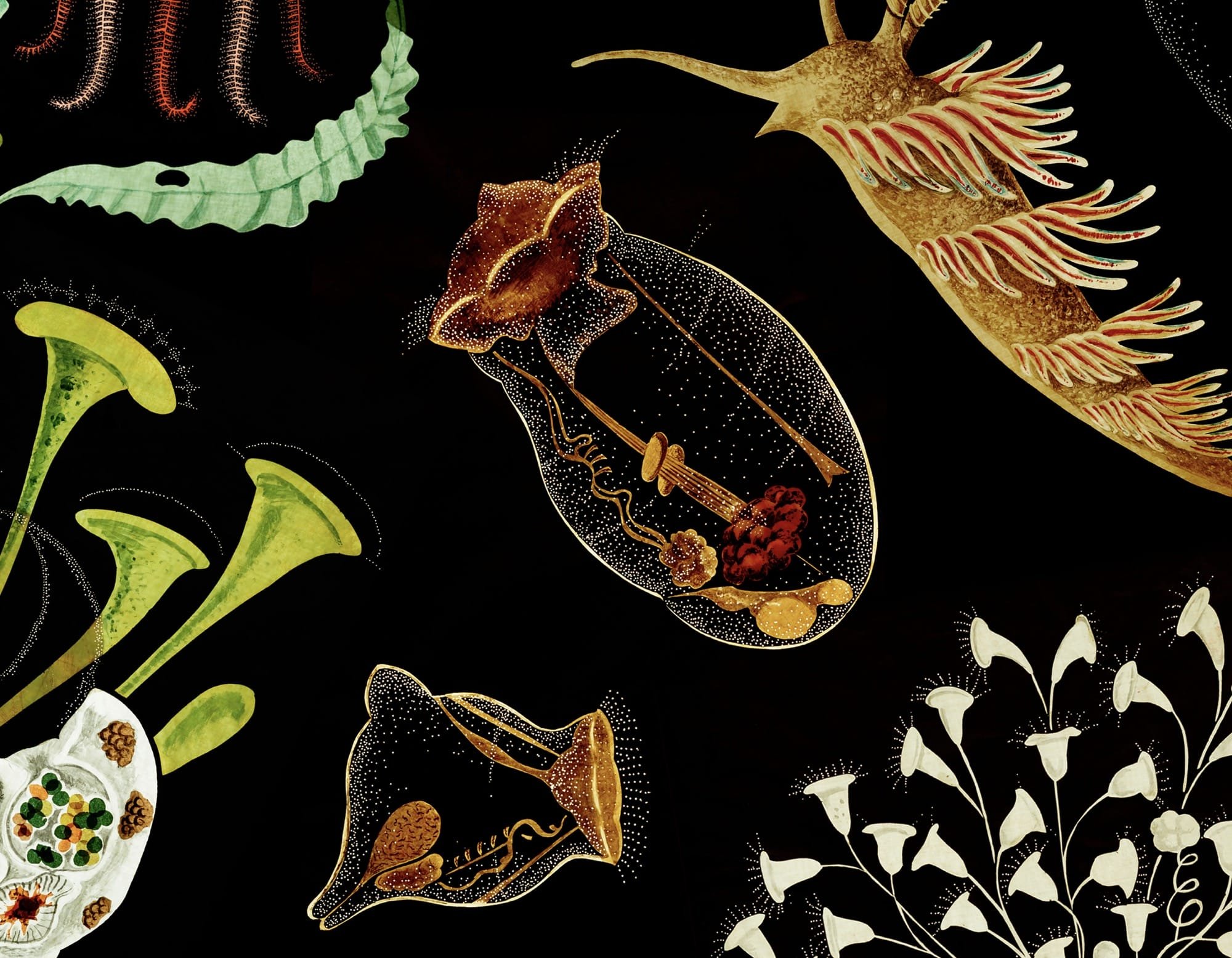 Vibrant Victorian-Era Transparencies Illuminate a Host of Microscopic Creatures