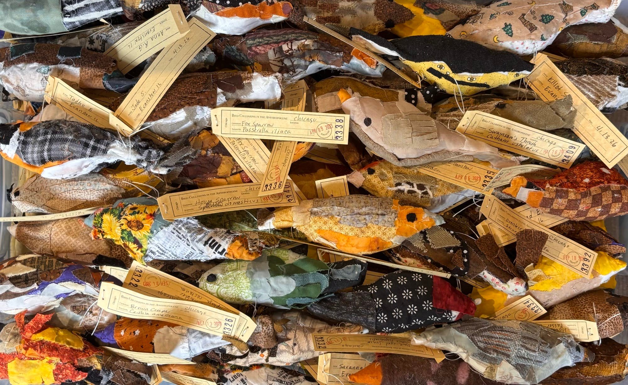 Around North America, Community Members Are Stitching Nearly 11,000 Birds