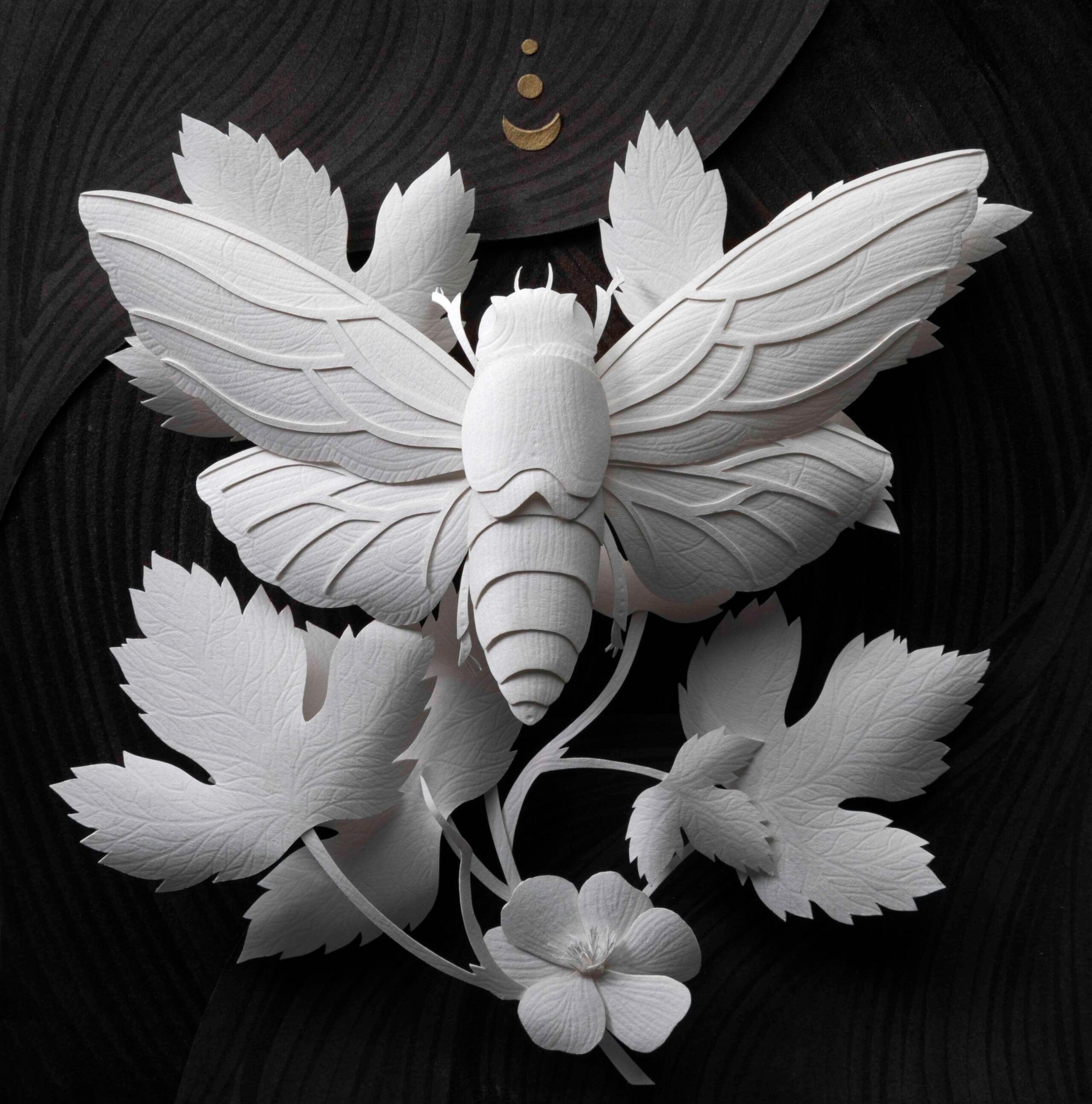 Meticulously Detailed Natural Specimens by Marisa Aragón Ware Emerge from Paper