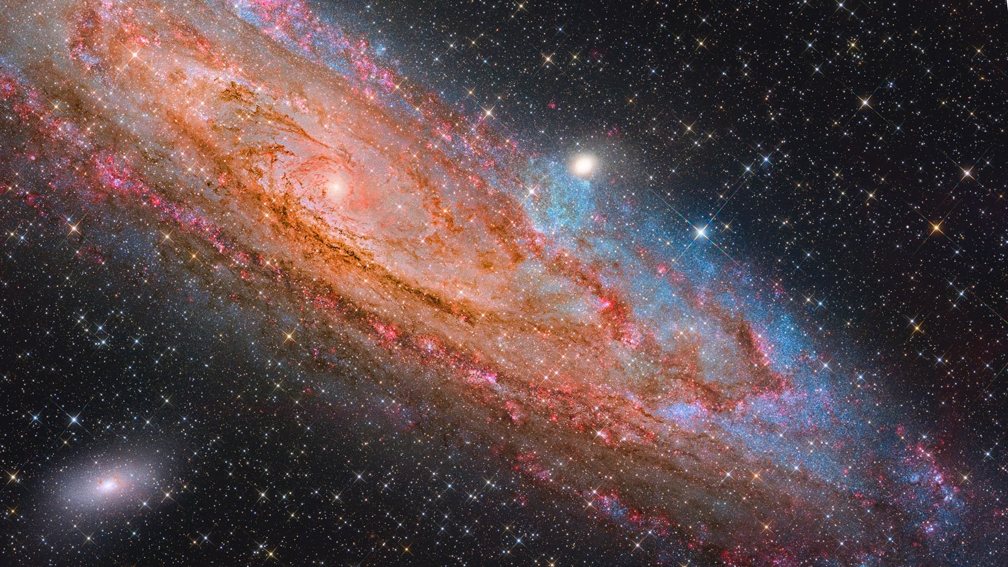Nebulae, Comets, and Aurorae, Oh My! See the ZWO Astronomy Photographer of the Year Shortlist