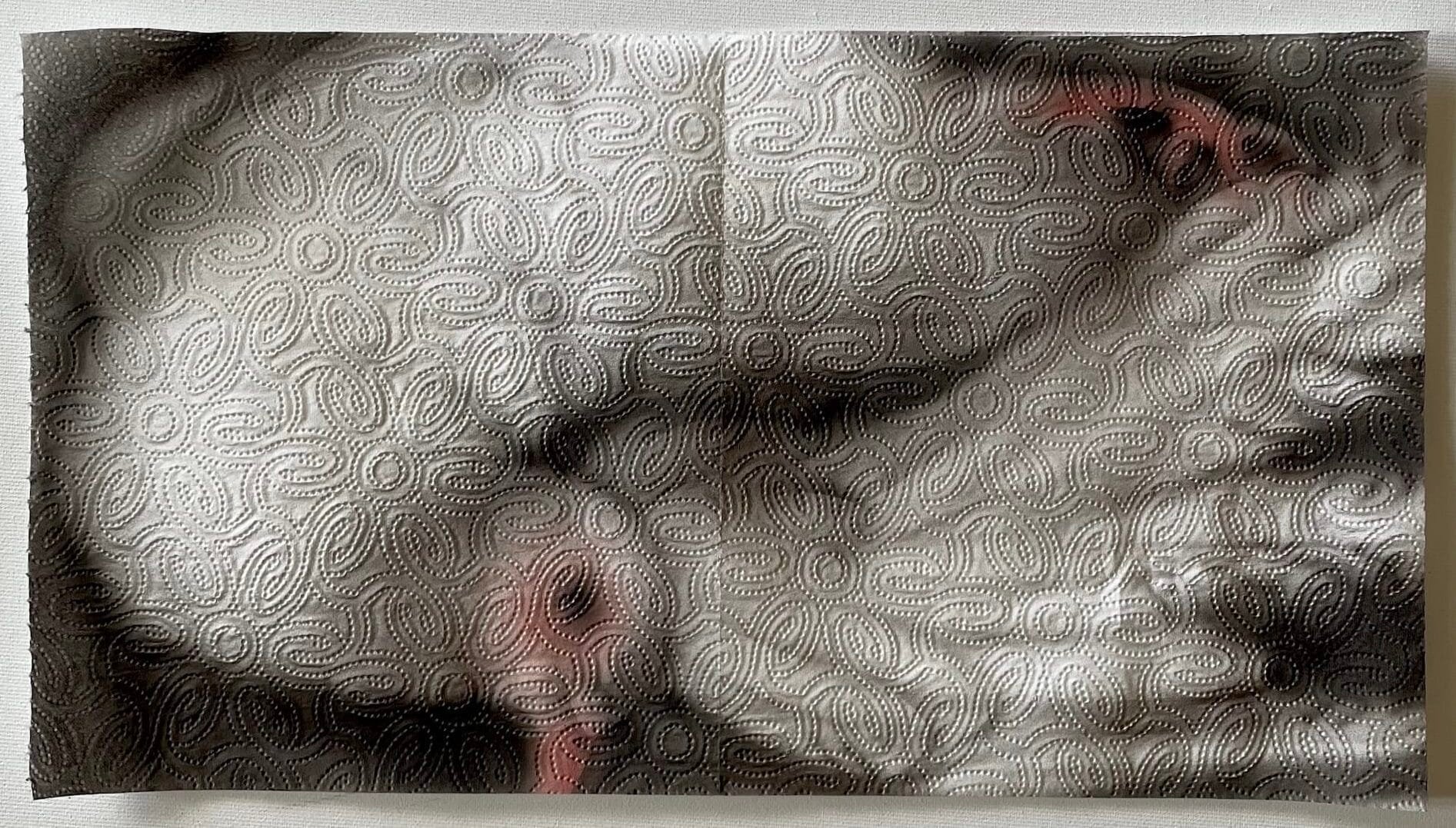 Helena Minginowicz Transforms Humble Paper Towel into Ethereal Paintings
