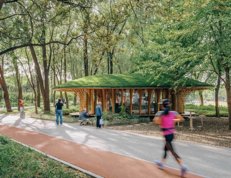 This Beijing Pavilion Looks Like A Giant Mushroom In The Woods