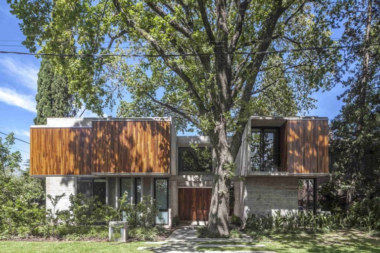 A Modern Concrete and Wood House Designed Around Mature Trees