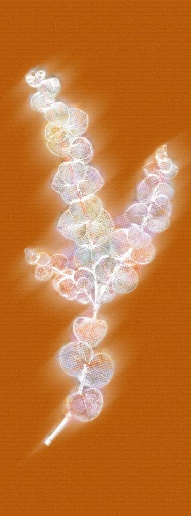 Branch (2006)