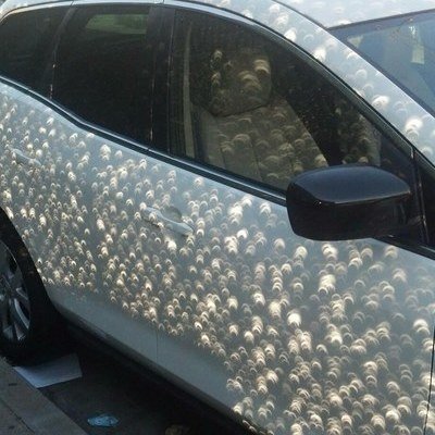 The Bizarre Shadows Projected During an Eclipse 