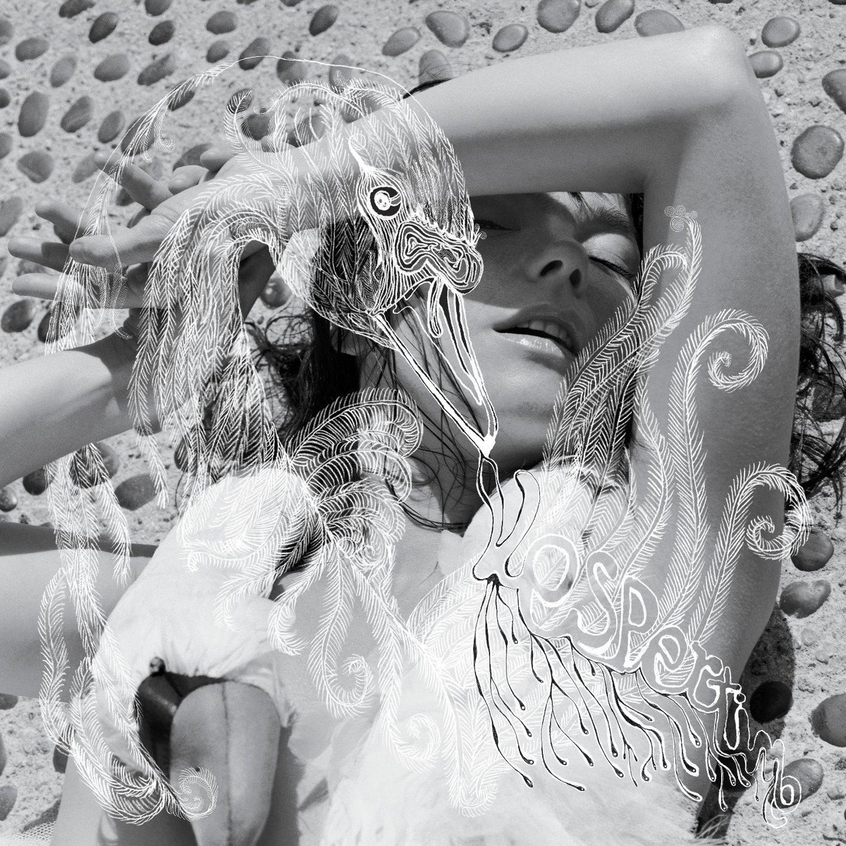Vespertine (2001) — Björk
