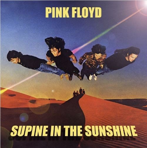 Supine in the Sunshine (2001) — Pink Floyd