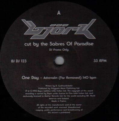Björk Cut by the Sabres of Paradise (1993) — Björk