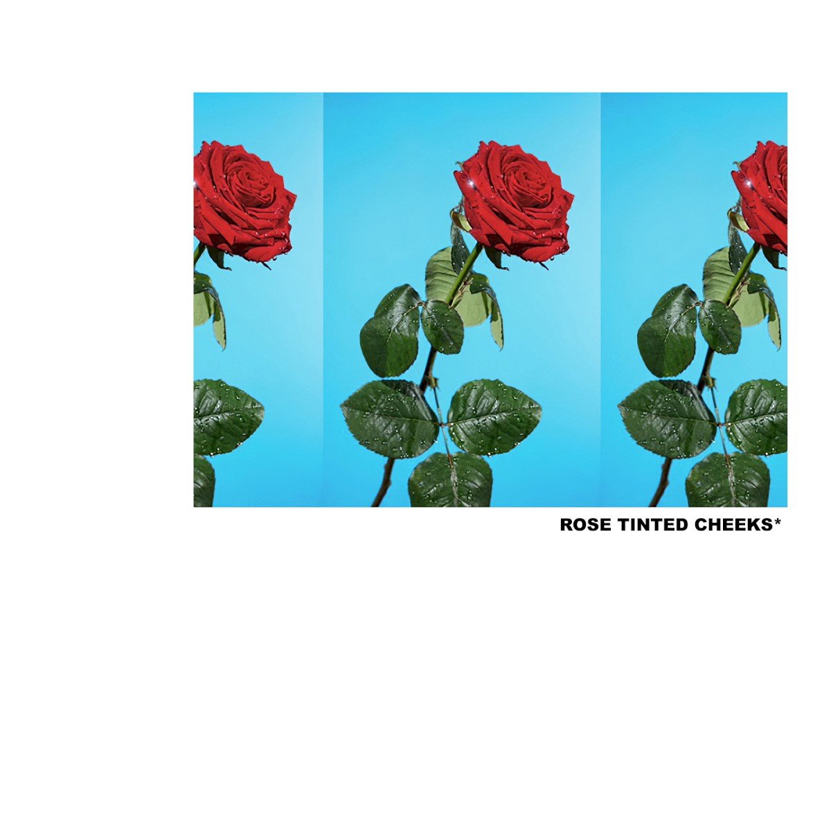 ROSE TINTED CHEEKS *2016 rough draft* (2018) — Tyler, The Creator
