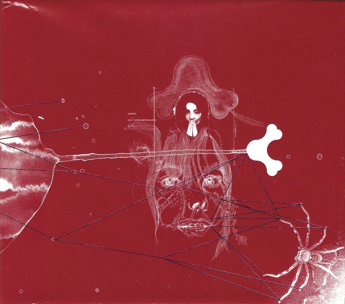 (____surrounded): (2006) — Björk