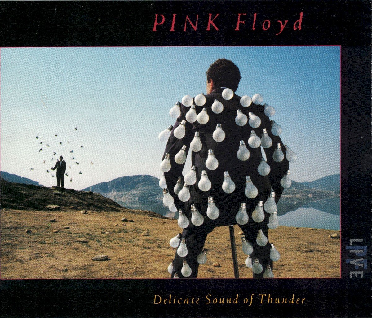 Delicate Sound of Thunder (1988) — Pink Floyd