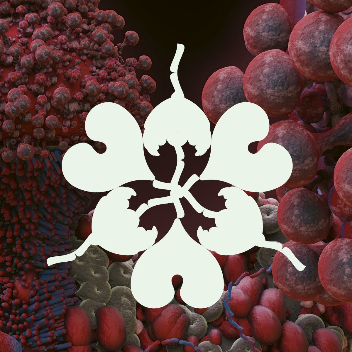 Ovule (Sega Bodega remix) (2023) — Björk