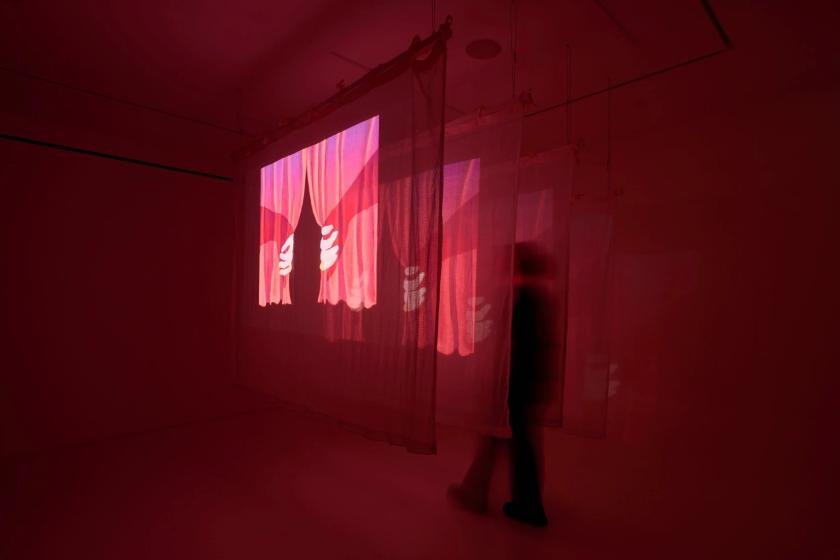 Cecilia Reeve makes paintings that move and animations you can step inside
