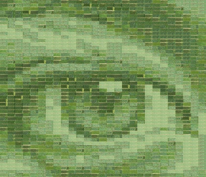 The largest 'photograph' ever made is about to be turned into bread